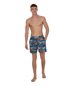 Les meilleures critiques de 🥰 Mode- Lifestyle Homme Speedo Short De Bain Speedo Vintage Paradise BLEU 🔥