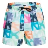 Budget 👏 Mode- Lifestyle Homme Quiksilver Quiksilver Dye Check 15 Short De Bain Homme MULTICOLORE 👍