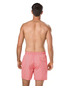 Meilleure vente 👍 Natation Homme Speedo Speedo Stripe Leisure 16 AUTRE 👍